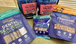 おやつが入荷しました