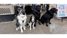 防災訓練に参加してきました