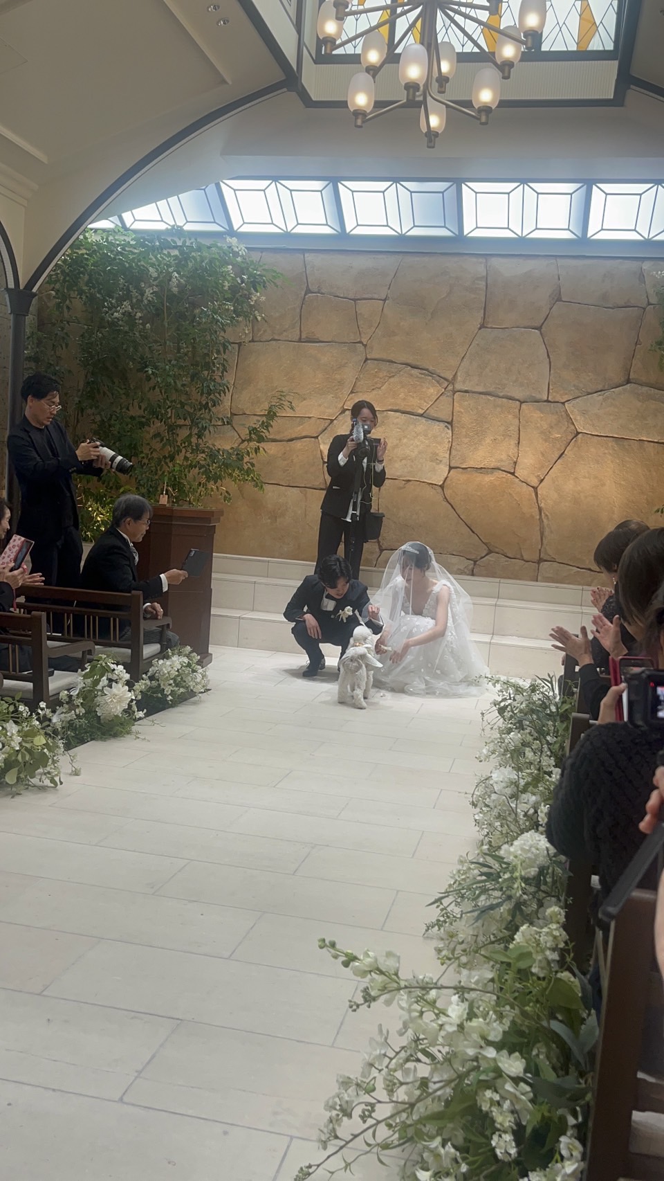 イッピちゃんとポノちゃんリングドッグ