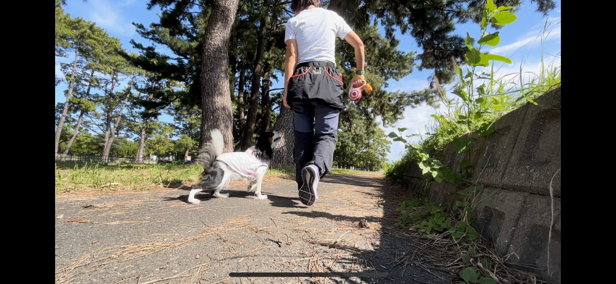 気分転換にお出かけしてきました