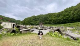 東の災害救助犬施設に行ってきました