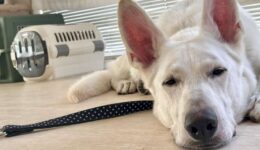 保育園の様子